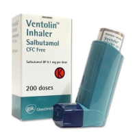Salbutamol 100 mcg Inhaler