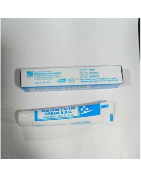 Neomycin Ointment 15 g